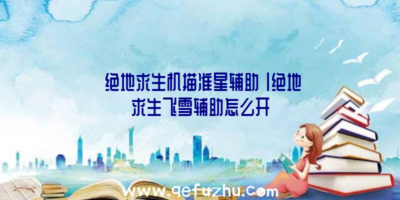 「绝地求生机描准星辅助」|绝地求生飞雪辅助怎么开